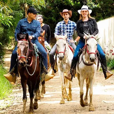 Cabalgata 10